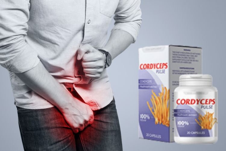 Introduction to cordyceps pulse na odporność